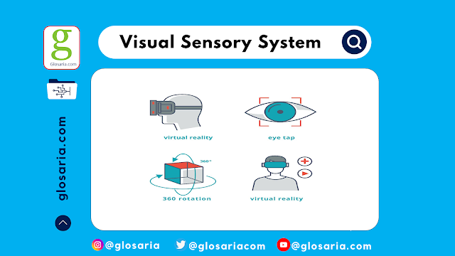 aplikasi visual sensory system